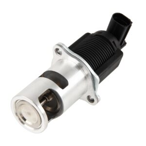 suppression vanne egr